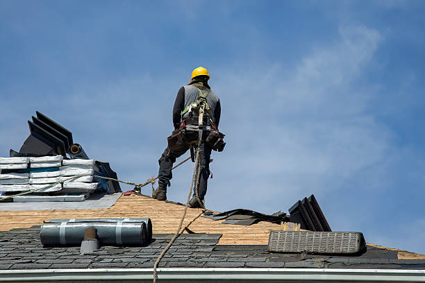 Professional Roof Installation technician working in Bronson, MI